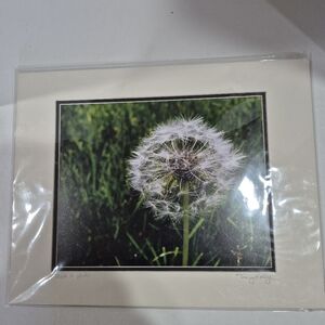 "Make A Wish" Dandelion Photo Print
